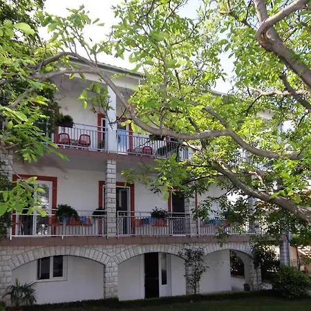 Triple 2379a סלצה